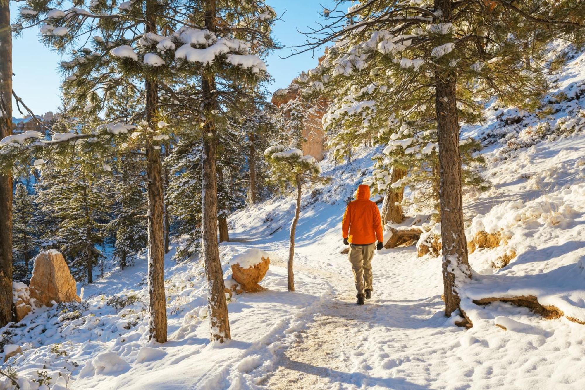 Charmant T3 Avec Vue Montagne Et Parking Privatif Font-Romeu-Odeillo-Via Exterior foto