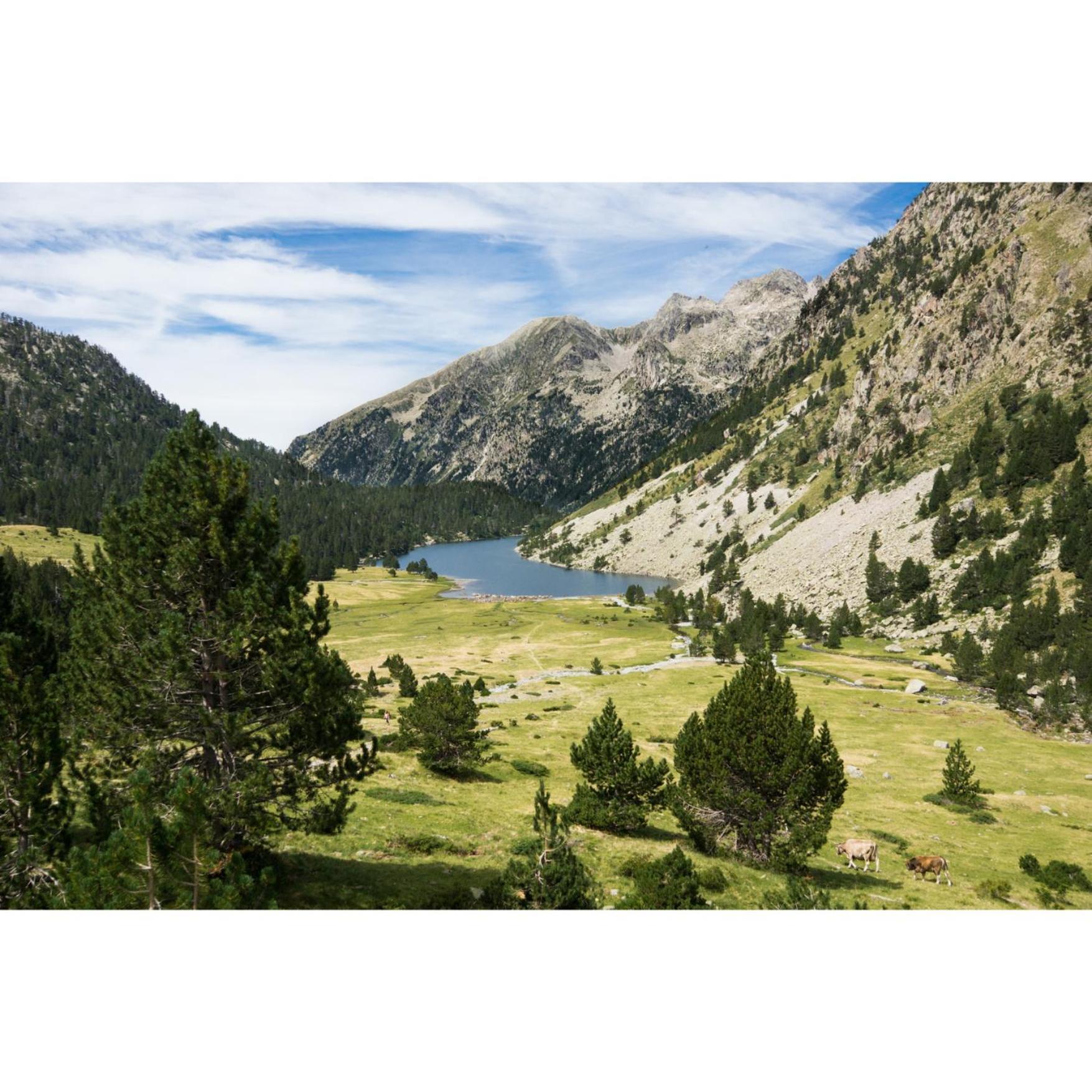 Charmant T3 Avec Vue Montagne Et Parking Privatif Font-Romeu-Odeillo-Via Exterior foto